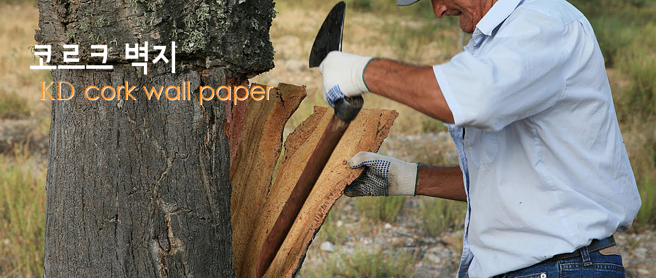 cork-harvest.jpg